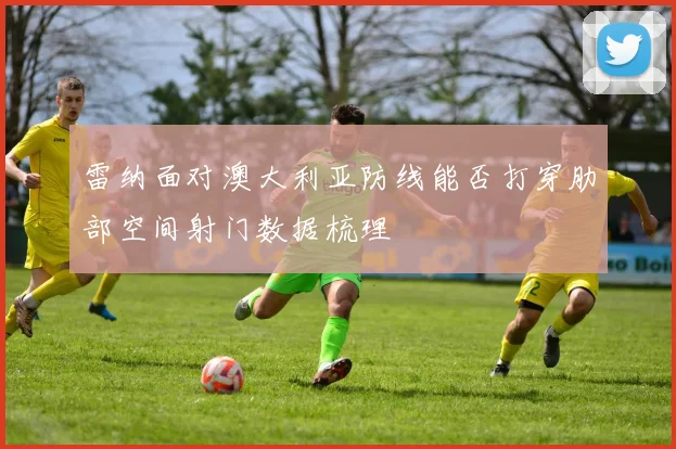 雷纳面对澳大利亚防线能否打穿肋部空间射门数据梳理