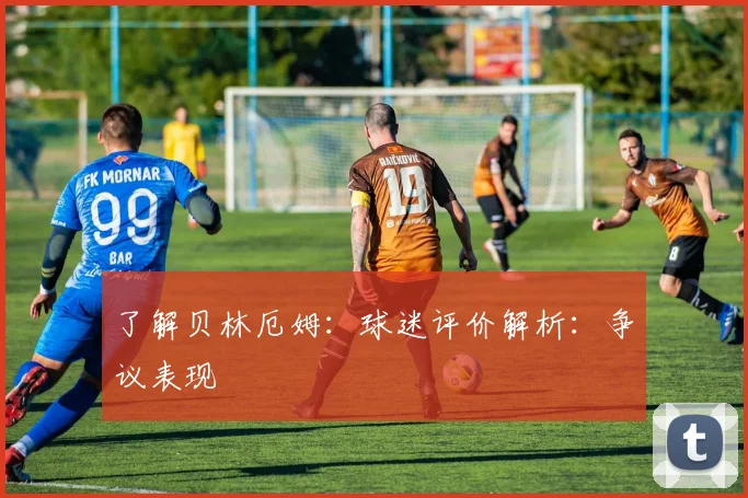 了解贝林厄姆：球迷评价解析：争议表现