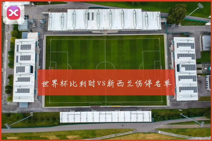 世界杯比利时vs新西兰伤停名单