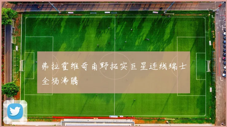 弗拉霍维奇南野拓实巨星连线瑞士全场沸腾